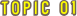 topic1