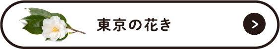 東京の花き
