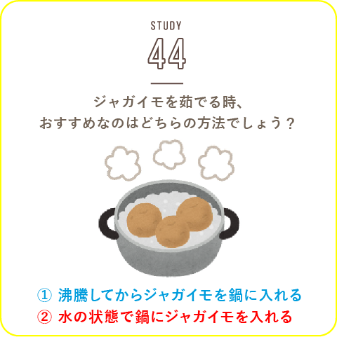 STUDY-44 ジャガイモ！